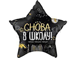 Звезда СНОВА В ШКОЛУ